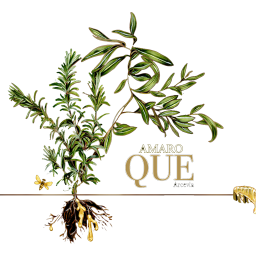 AMARO-QUE-1 AMARO-QUE-1