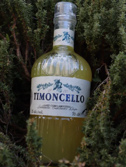TIMONCELLO